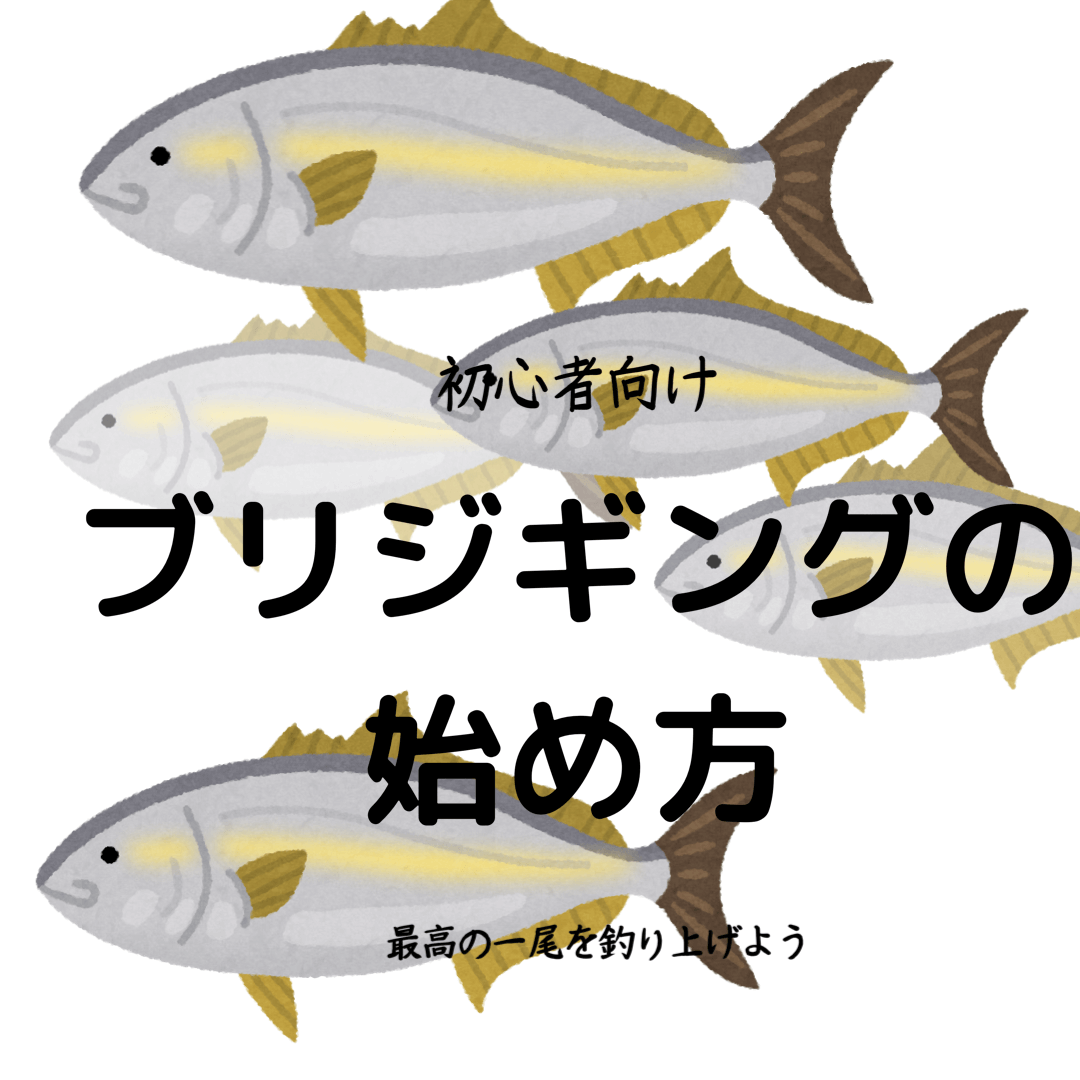 ブリは出世魚サイズ別必要タックル紹介ブリを釣る必要知識も書いてるよ ようの日記